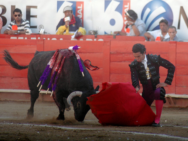 Torero inicio