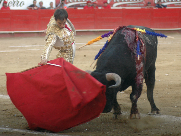 Empapado en la muleta