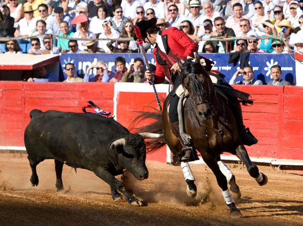 Encelando al toro