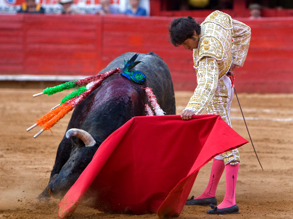 Templando la embestida