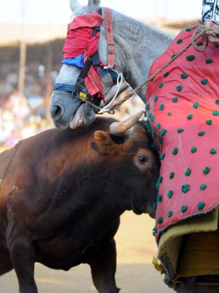 Peleando