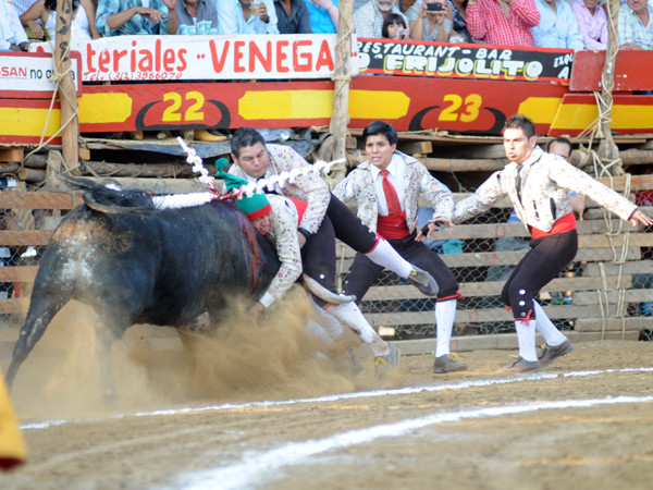 Los forcados de San Luis