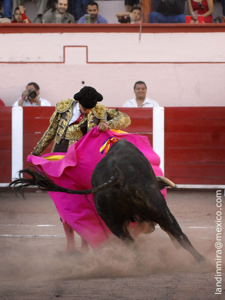 Chicuelinas de Gerardo