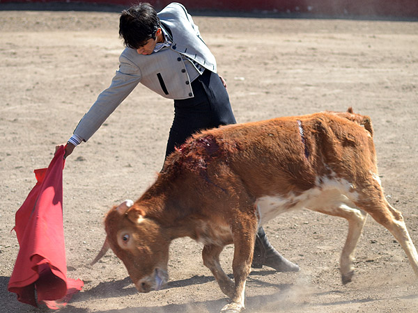 Gran muletazo