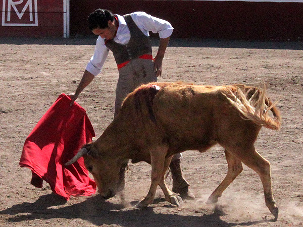 Templando