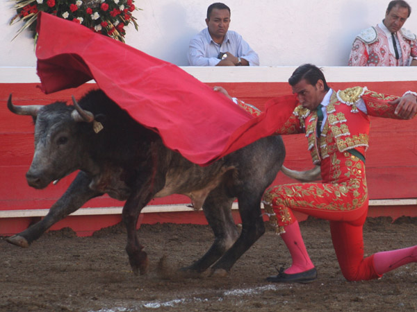 Remate rodilla en tierra