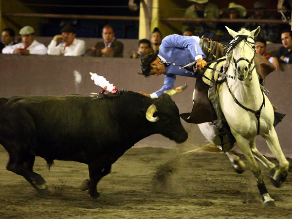 Templando