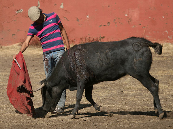 Un torero con sello