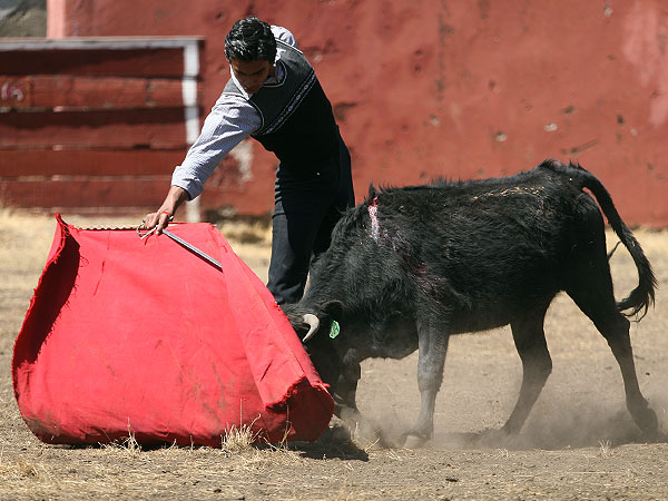 Gerardo Martnez