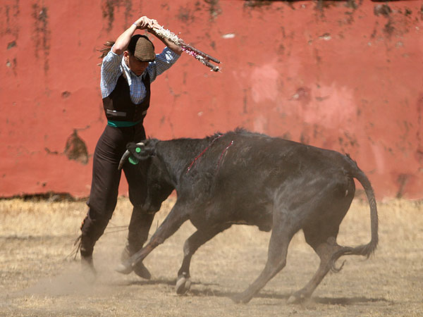 Se anim con los palos