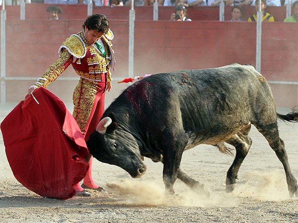 Templando las embestidas