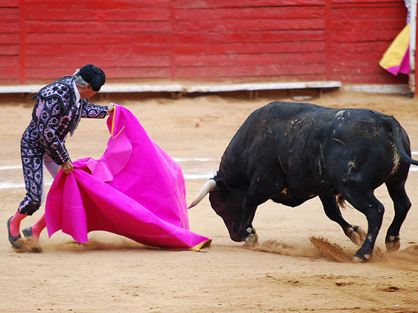 La maestra de Beto Preciado