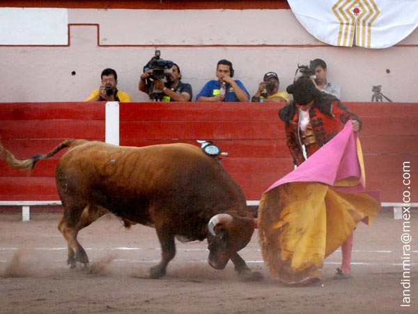 Jugando los brazos