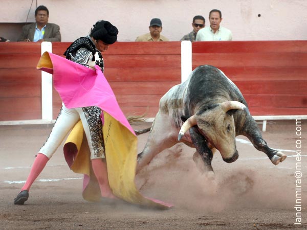 Acompasadas vernicas