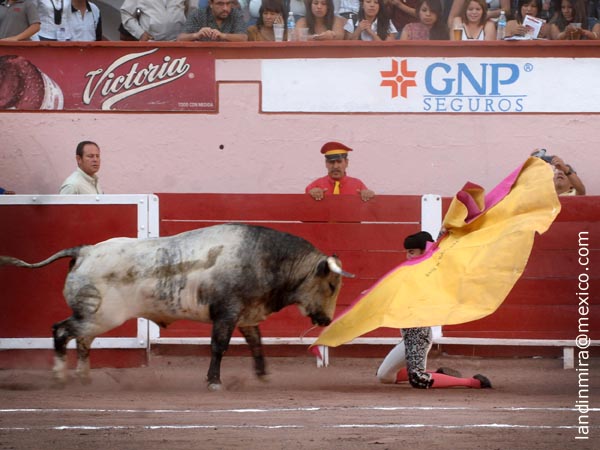 El saludo de Bustamante