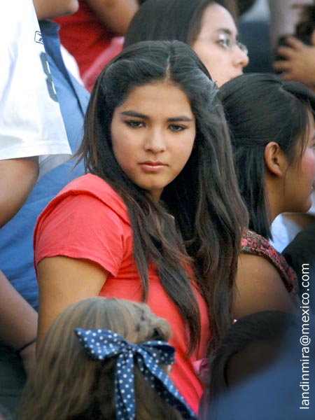 Tendidos engalanados