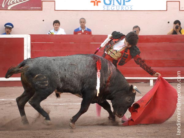 Faena en los medios