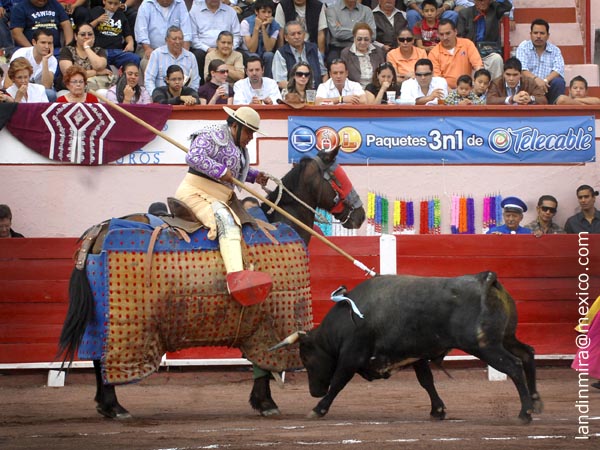 Chiva en la suerte de varas