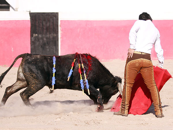 Francisco Prez Salazar