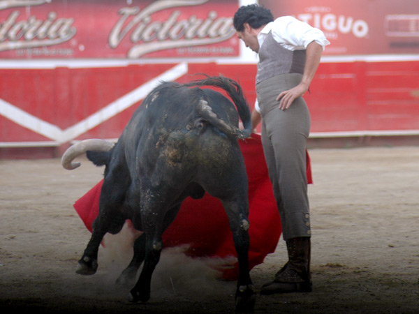 Preparacin a conciencia