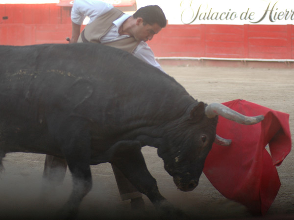 Pensando en su tierra