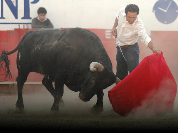 El oficio del tapato