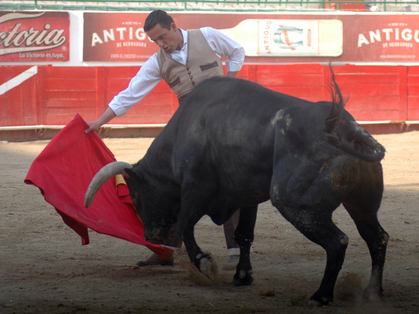 As meta la cabeza el Cardenilla