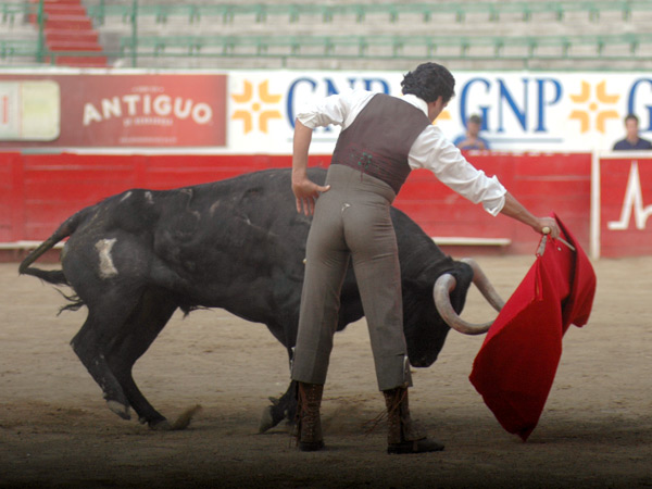 Cuidando la embestida