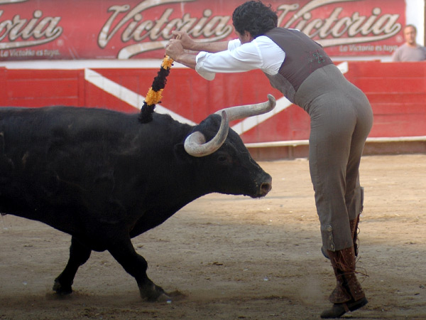 Cuadrando en la cara