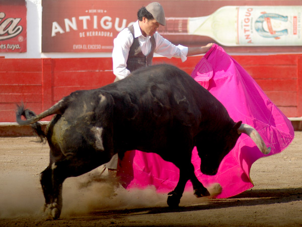 Templando la embestida