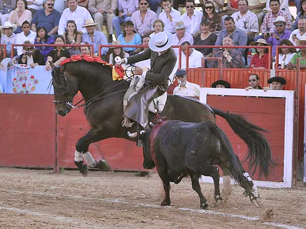 Templando las embestidas