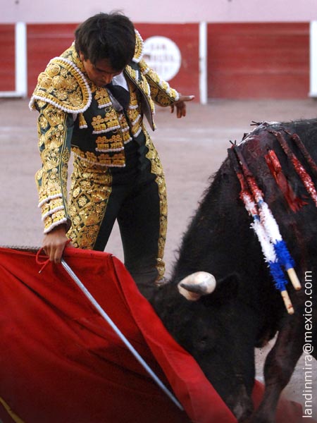 Mostrando el camino