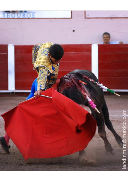 Ceidos circulares