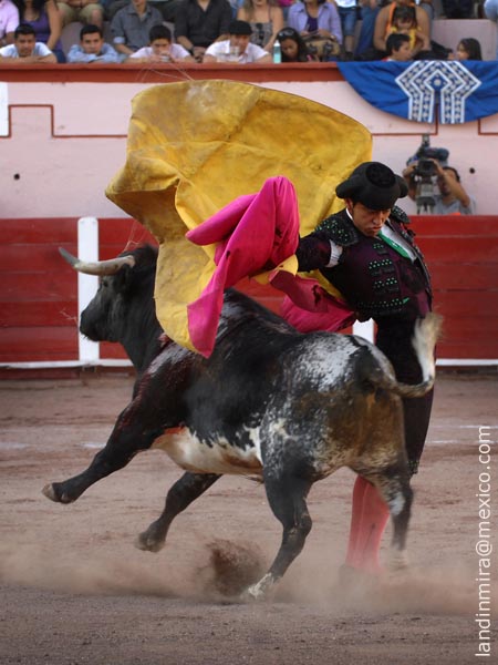 Lucido y variado