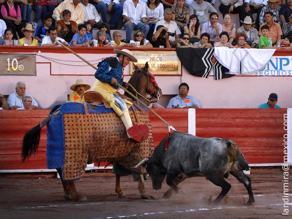 La vara de Mauro