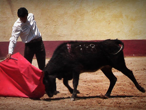 Mostrando el camino