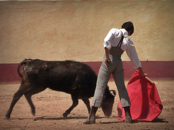 Pedro Gutirrez Lorenzo