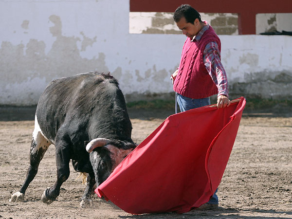 Jernimo, un privilegiado