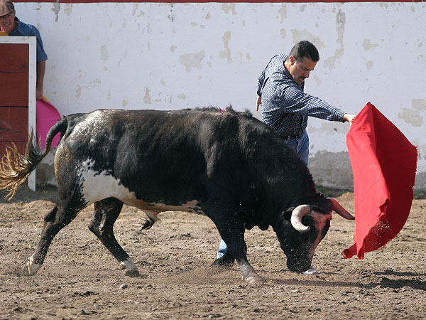 Pasndose todo el toro