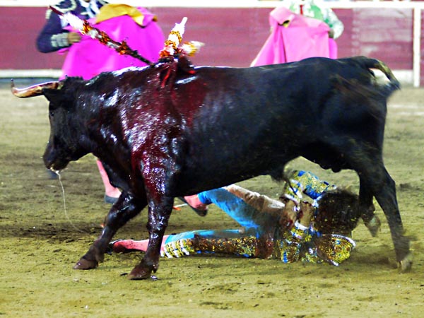 El toro le deja