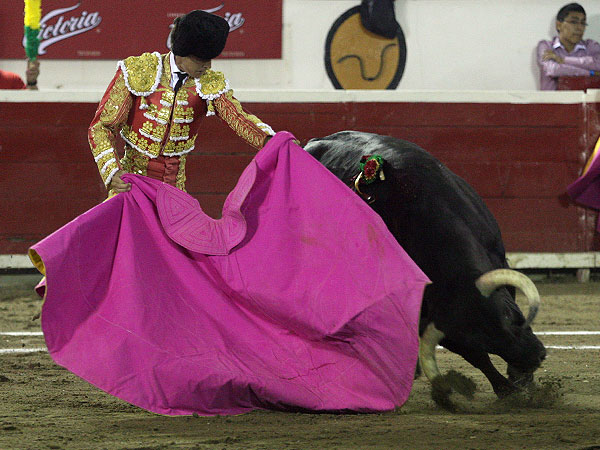 Tafalleras en redondo