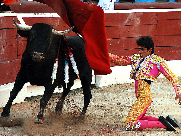 Rematando la faena