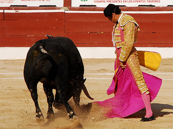 La media de El Conde