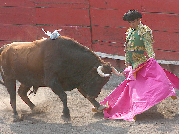 Sujetando al de La Cerdenilla