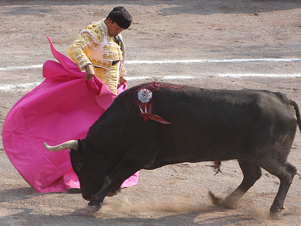 Una chicuelina de Bentez