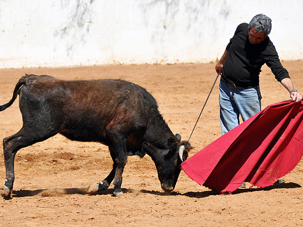 Fernando Jimnez se 