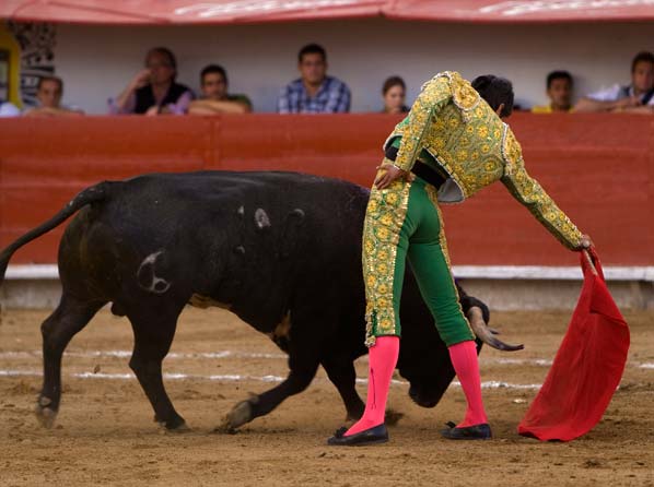 Luchando por el triunfo