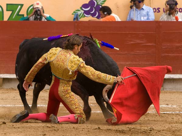 Peleando las palmas