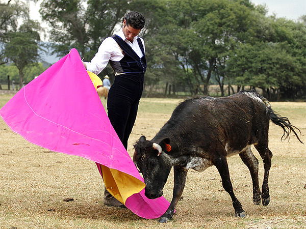 Belleza a campo abierto