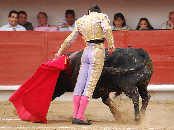 Desmayando la muleta